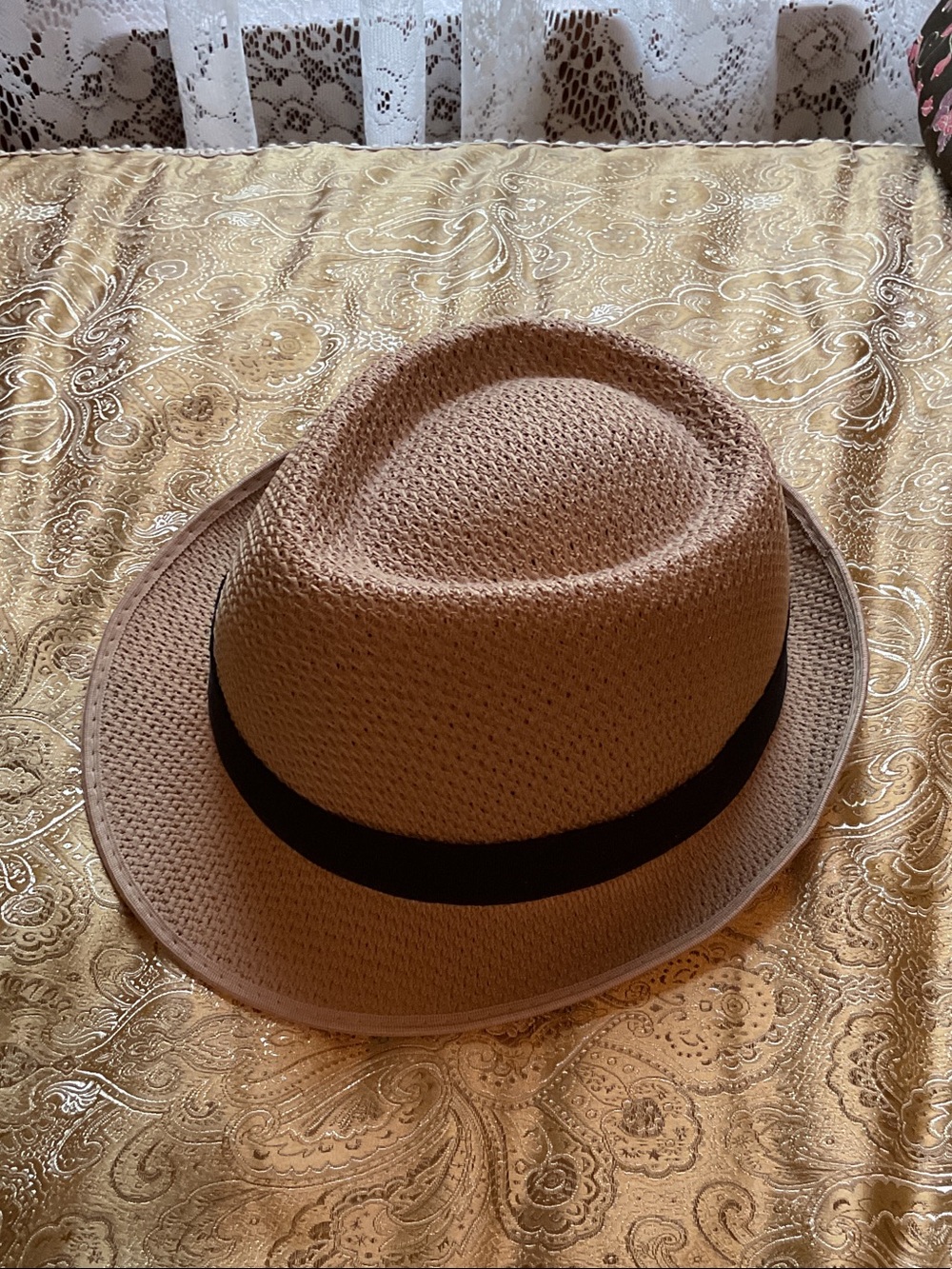 Vintage Blue Seahorse Fedora Hat with Black Band